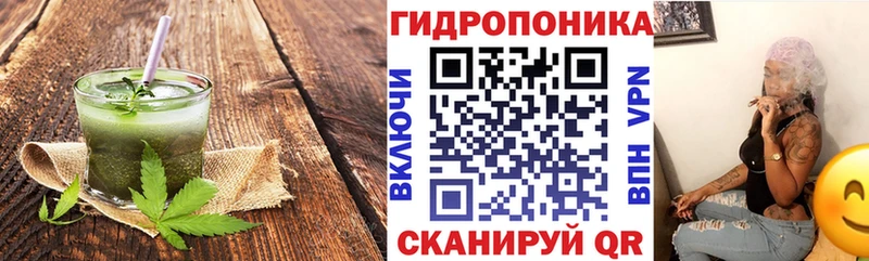 Canna-Cookies марихуана  купить наркотики цена  Сольвычегодск 