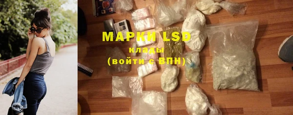 прущие грибы Арсеньев