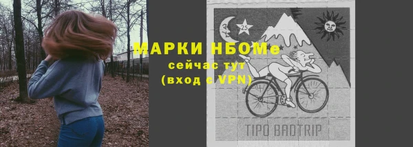 прущие грибы Арсеньев