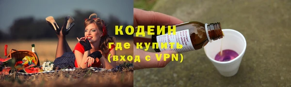 прущие грибы Арсеньев
