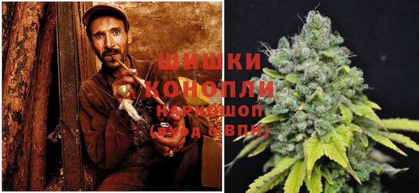 дживик Аркадак