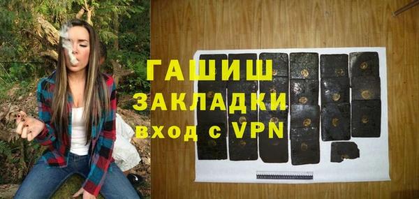 индика Рославль