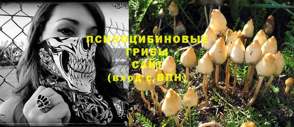 дживик Аркадак