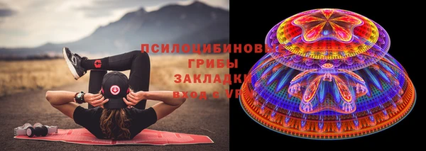 прущие крисы Алексеевка